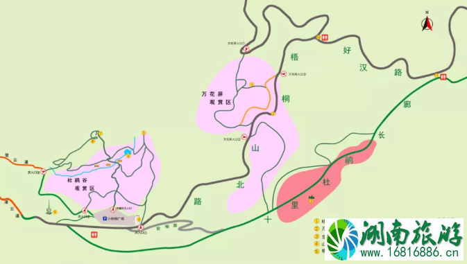 2021梧桐山杜鹃花赏花路线-最佳赏花地