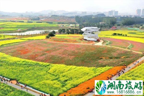 光明小镇欢乐田园油菜花需要预约吗 附赏花攻略