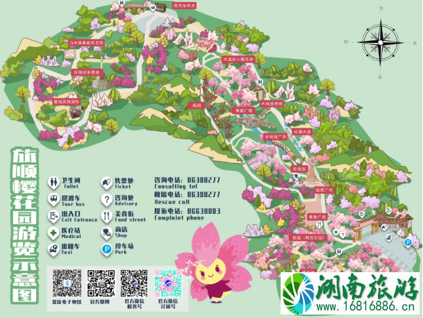 2021大连旅顺国际樱花节时间地点及活动详情