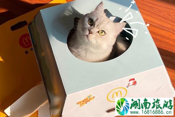 麦当劳猫窝怎么获得?多少钱?这份入手攻略请收好