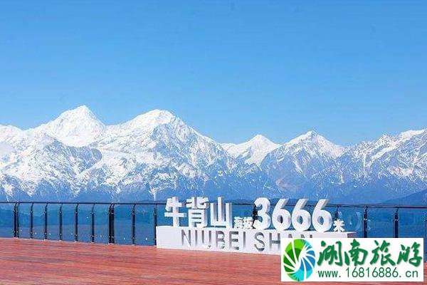 2022牛背山景区门票多少钱 牛背山景区开放了吗