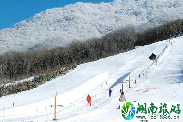 冬季去哪里旅游最合适 国内冬季旅游目的地推荐