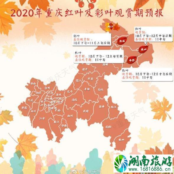 2020酉阳红叶最佳观赏时间及地点