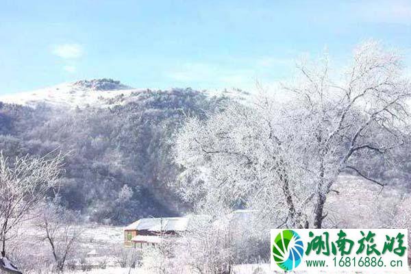 2020彭水摩围山下雪了吗 彭水摩围山赏雪攻略