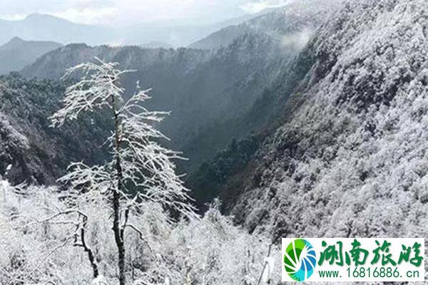 2021瓦屋山冬季好玩吗 瓦屋山冬季旅游攻略