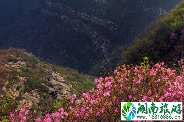 3月国内旅游最佳去处 赏花踏青旅游地推荐