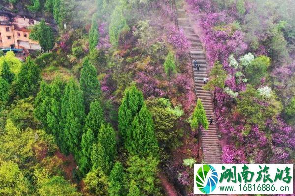 天台旅游攻略一日游