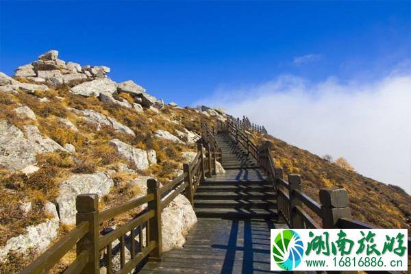 太白山景区门票多少钱 太白山景区3月8日妇女节优惠政策