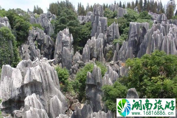 天津冬季旅游最佳去处(附门票信息及景点介绍)