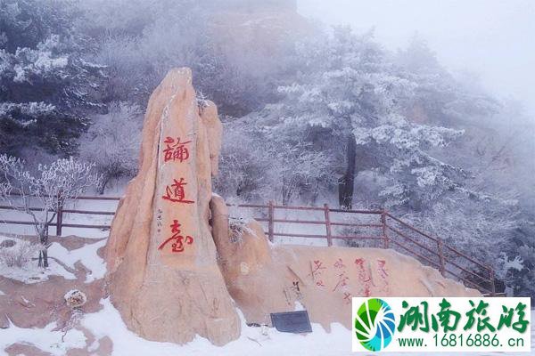 洛阳老君山旅游攻略冬季 老君山网红打卡景点