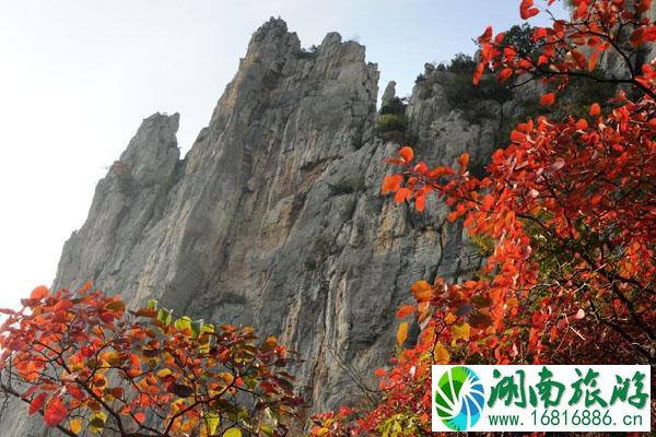 巫山红叶最佳观赏地点及路线推荐