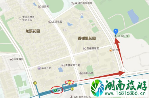 香蜜公园怎么坐地铁和公交