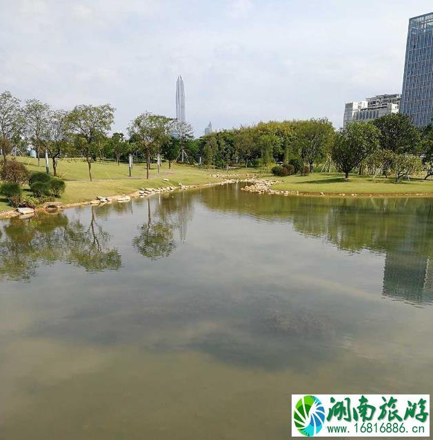 香蜜公园停车场在哪 大不大