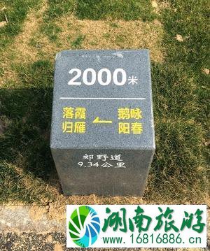 东湖绿道怎么去