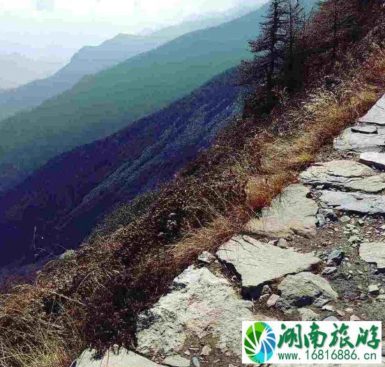 太白山门票多少钱 太白山门票学生票多少钱