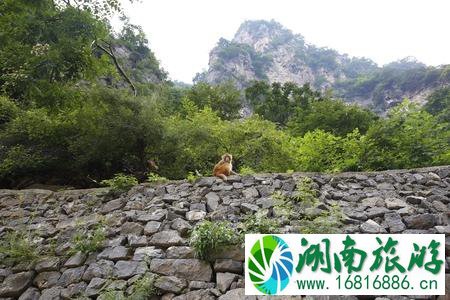 太行山简介 太行山景点介绍