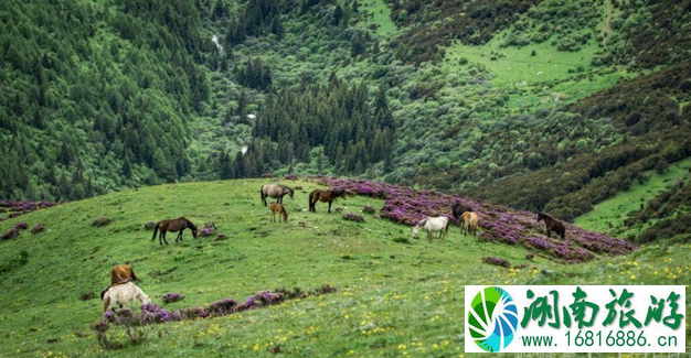 四姑娘山几月份去最好 四姑娘山旅游交通攻略