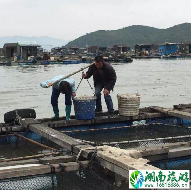 如何找到潮汕本地正宗的美食