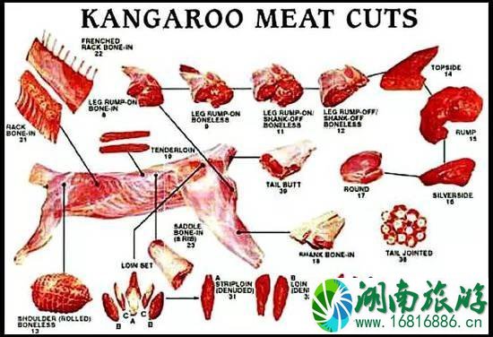 澳大利亚可以吃袋鼠吗 吃袋鼠肉违法吗