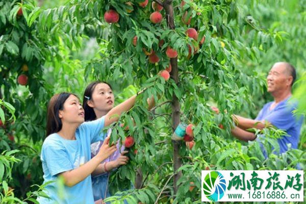 西柏坡景区附近美食推荐