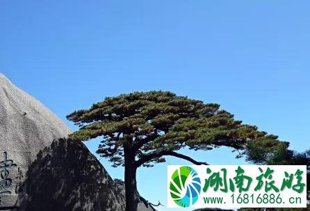 黄山一日游最佳路线   黄山一日游攻略