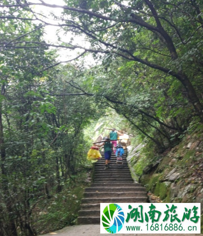 去黄山到哪个火车站下 黄山旅游交通攻略