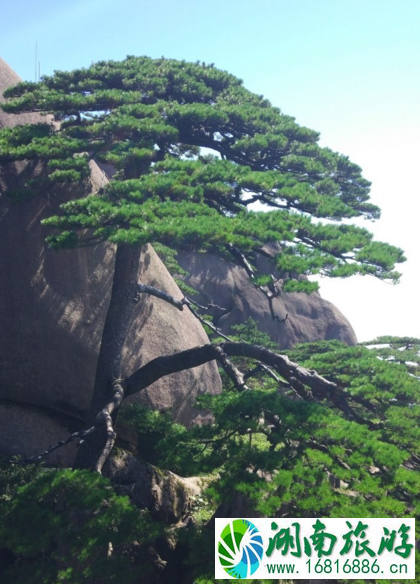 去黄山到哪个火车站下 黄山旅游交通攻略