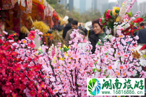 荷兰花卉小镇怎么去 荷兰花卉小镇地铁出口是什么