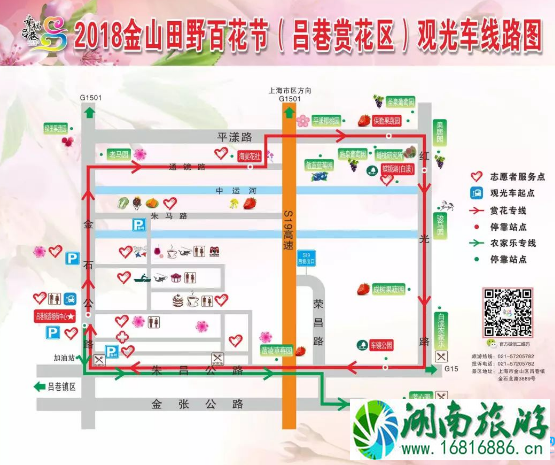 2022上海金山田野百花节怎么去 2022上海金山田野百花节交通攻略