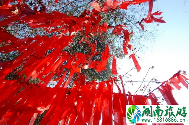 春节适合去哪里旅游 春节带着父母去哪里旅行好