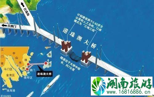 港珠澳大桥通关路线2022