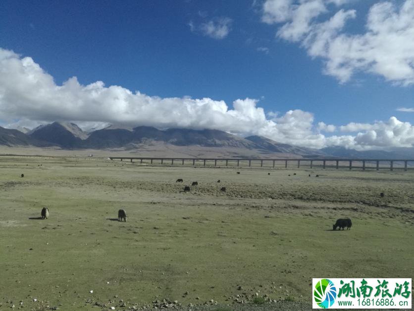 西藏自由行应该注意什么事项 西藏旅行有哪些好玩的景点