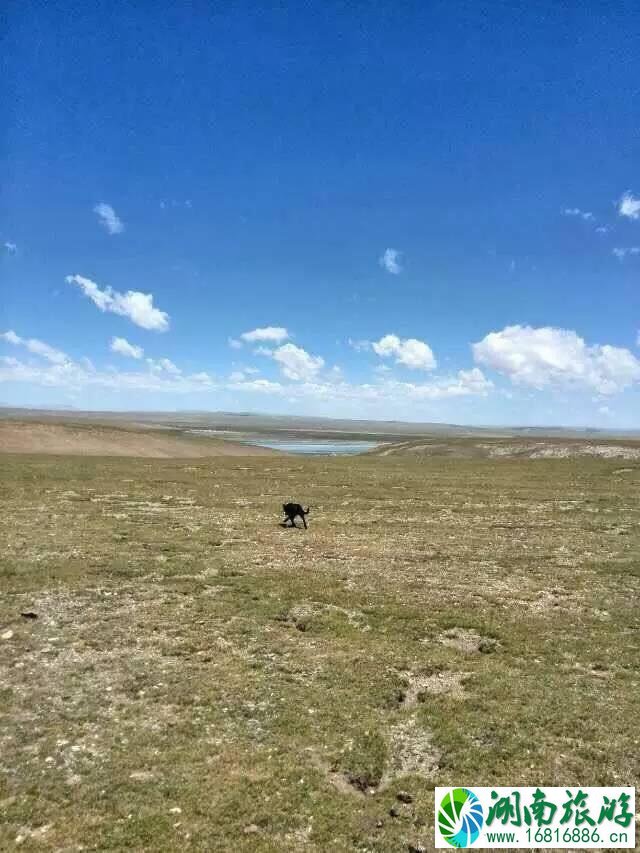 西藏自驾游旅游线路图 西藏自驾游规划