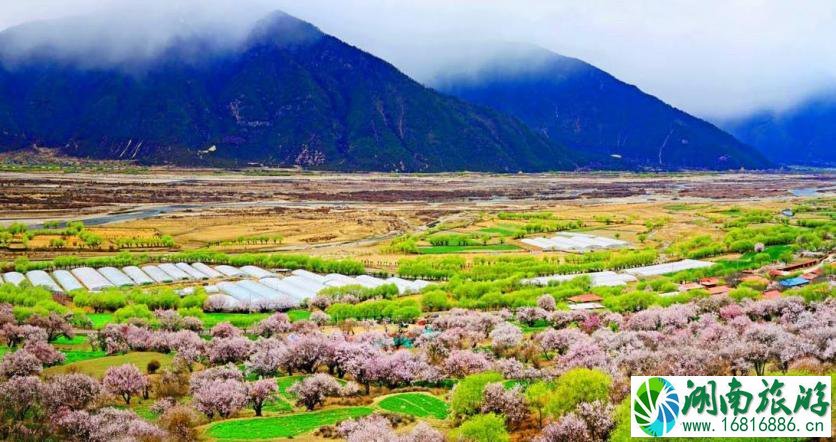 西藏林芝旅游攻略