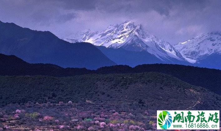 西藏林芝旅游攻略