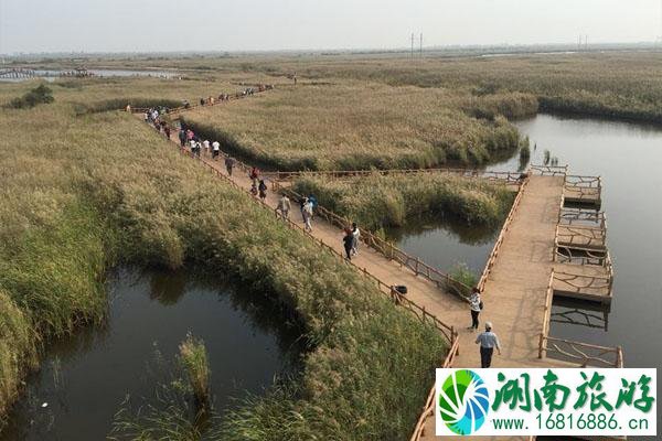 东营市黄河入海口在哪里 门票价格