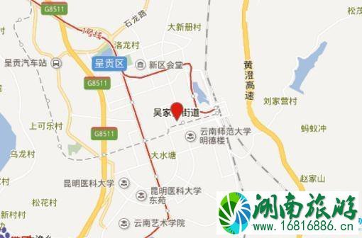 2022昆明观红嘴鸥最佳时间+地址+注意事项