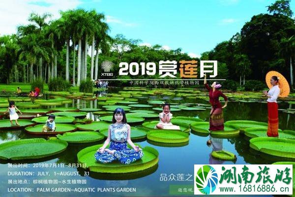 2022西双版纳热带植物园赏莲月活动攻略