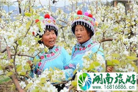 2022云南大理巍山马鞍山油菜花节3月22日开启