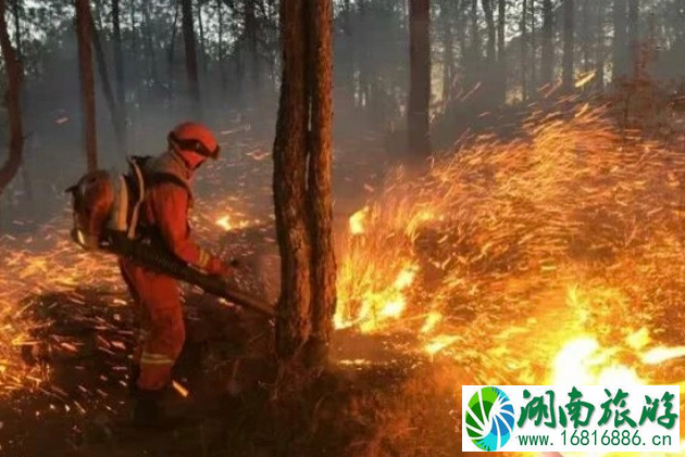 云南丽江山火五一能去旅行吗 2022丽江山火会影响丽江古城吗