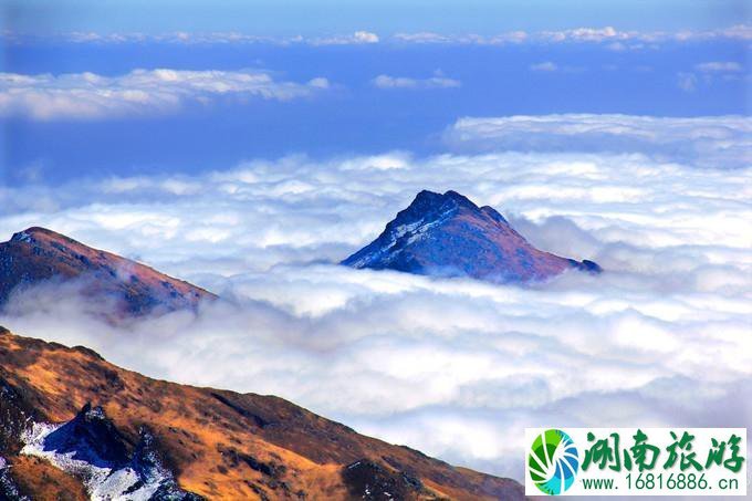 昆明轿子雪山的出行方式推荐 昆明轿子雪山旅游攻略