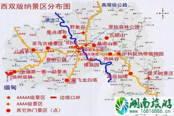 西双版纳原始森林公园丛林飞跃多少钱 公园门票+开放时间