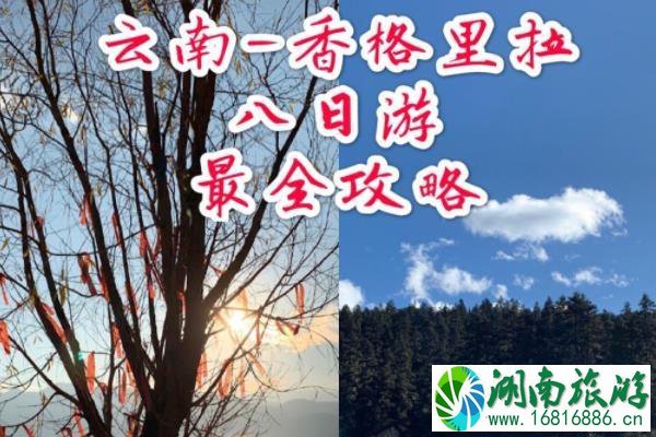 云南八日游攻略 昆明大理丽江玉龙雪山香格里拉旅游攻略及路线安排