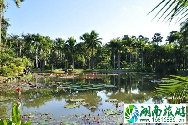 西双版纳东线植物园有着怎样的景点旅游地