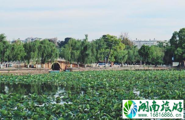 昆明有什么好玩的地方景点推荐