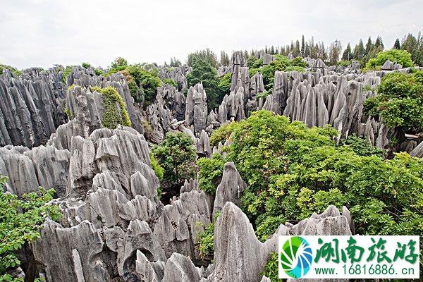 昆明有哪些好玩的地方-必去景点推荐2021