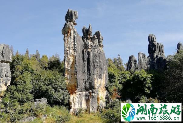 2021昆明石林风景区半价活动内容-时间