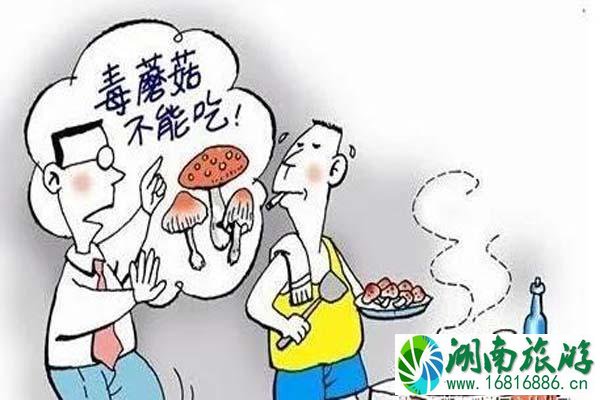 云南旅游注意事项 如何鉴别菌子是否有毒