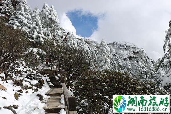 2021昆明轿子雪山景区门票恢复原价-门票优惠政策