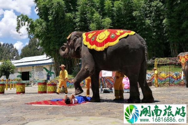 云南民族村门票价格 云南民族村门票优惠政策